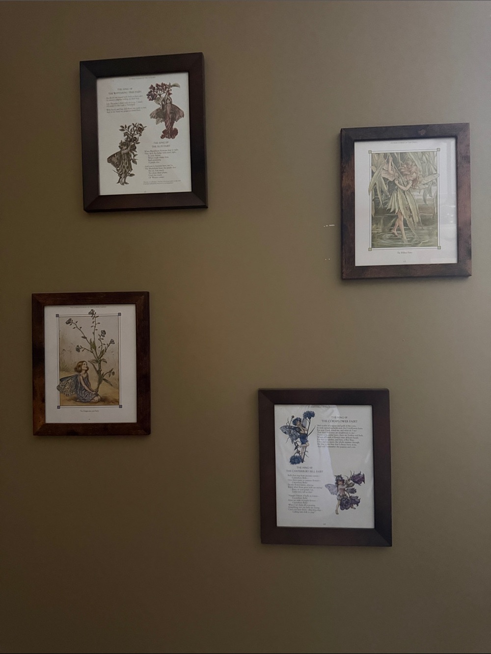Wooden Frame Fairy Botanical Wall Art Set - Brown